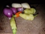 Tumis Sayur Oyong