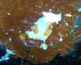 A picture of step 5 of Kathi kababwith rumali roti.