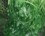 Foto del paso 3 de la receta: Para tener siempre perejil a mano😃