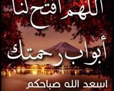 صورة لخطوة 8 من وصفة بندورة مطبوخة 🍅🌶