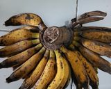 Foto langkah ke 5 dari resep Choco Banana Milk Bath.