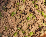 Foto del paso 5 de la receta: Zapallitos rellenos de carne