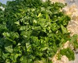 Une image de l'étape 2 de Nems épinards-feta.
