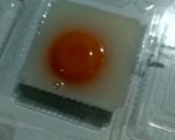 Foto langkah ke 5 dari resep Agar agar telur ceplok.