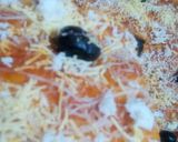 صورة لخطوة 3 من وصفة بيتزا السميد 🍕