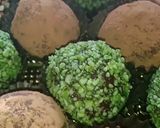 صورة لخطوة 4 من وصفة ليتروف les truffes