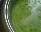 Foto langkah ke 3 dari resep Puding Lumut Pandan.