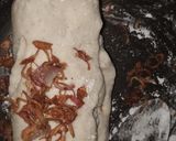 Foto langkah ke 3 dari resep Seblak Baso Aci Cuangki Home made.