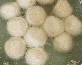 Foto langkah ke 6 dari resep Onde-onde ubi ungu ala anak kos.