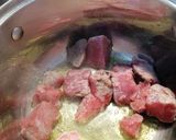 Foto del paso 3 de la receta Carne guisada con verduras