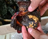 Foto del paso 1 de la receta: Mole rojo oaxaqueño (coloradito)