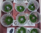 Foto langkah ke 2 dari resep Puding Cendol Gula Aren.
