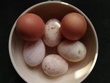 Telur Masin Homemade