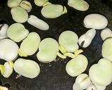 Foto del paso 2 de la receta: Pastas con crema de puerros y habas, para disfrutar!