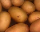 A picture of step 1 of Italian Smashed Potato.