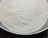 Foto del paso 4 de la receta: Masa de pizza Napoletana (solo masa)