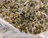Sprout Moong Salad recipe step 5 photo