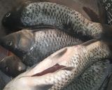 Foto langkah ke 1 dari resep Pepes ikan mas pedas.