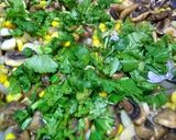 Foto del paso 3 de la receta: Champiñones con verduras!
