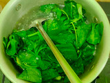 Sayur bayam
