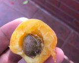 Foto del paso 1 de la receta: Mermelada de Damascos