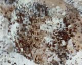 Foto del paso 1 de la receta: Pan lactal con semillas