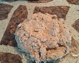 Foto del paso 6 de la receta: Bollitos semi integral con puré de boniato y perejil veganos 🍠🥖