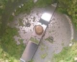 A picture of step 4 of Amaranth curry.
