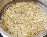 A picture of step 1 of Buckwheat Vrat Khichdi.