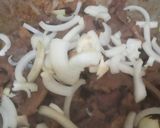 Foto langkah ke 3 dari resep Beef Teriyaki.