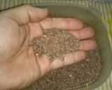 Foto del paso 1 de la receta: Lentejas con cuadritos de Zanahoria