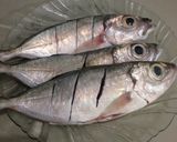 Foto langkah ke 1 dari resep Ikan Kembung Sambal DabuDabu.