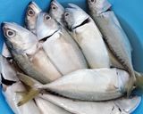 Foto langkah ke 1 dari resep Pepes ikan kembung.