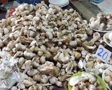 รูปขั้นตอนการทำที่ 1 ของ ผัดกะเพราเห็ดฟาง (สูตรมั่ว ๆ)