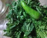 A picture of step 1 of Dhania chatni...