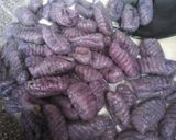 Foto del passaggio 5 della ricetta Gnocchi viola al gorgonzola