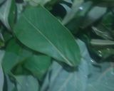 Foto langkah ke 1 dari resep Daun Singkong Nyemek Pedas.