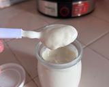 Foto del paso 6 de la receta: Yogur en yogurtera súper fácil cremoso