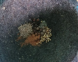 Foto del paso 1 de la receta: Garam masala