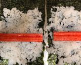 A picture of step 5 of Chrysanthemums Sushi.