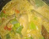 Foto langkah ke 5 dari resep Opor ayam rice cooker.