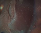 Une image de l'étape 2 de Macaron chocolat.