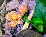 Foto langkah ke 1 dari resep Soto Betawi Susu UHT.