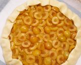 Une image de l'étape 6 de ☆Tarte Rustique à la Mirabelle☆.