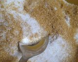 Foto del paso 2 de la receta: Budín de Chocolate con Mayonesa Vegana