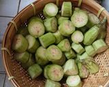 Foto langkah ke 1 dari resep TERONG vs ALE.