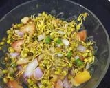 स्प्राउट मूंग मेथी पापड़ मसाला recipe in Hindi रेसिपी चरण 2 फोटो