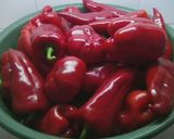 Olajos savanyú paprika recept fázis 1 fotója
