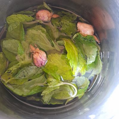 Qiz mushuk bilan turli xil narsalarga otiradi Mikoplazmoz bilan ogzaki jinsiy aloqa