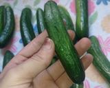 صورة لخطوة 1 من وصفة مخلل خيار